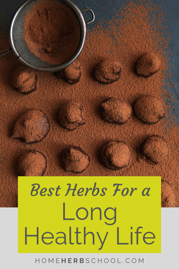 This delicious recipe includes medicinal herbs for longevity. In herbalism, these herbs are known as adaptogens. #Herbalism #HerbalMedicine #Adaptogens